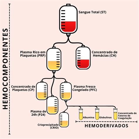 O Que é Hemoderivados - RETOEDU