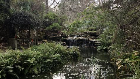 Kanapaha Botanical Gardens - Florida Lives
