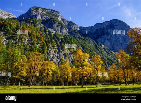 Image result for Enable JavaScript Windows 11