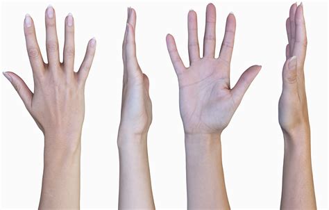 Hand 3D Models