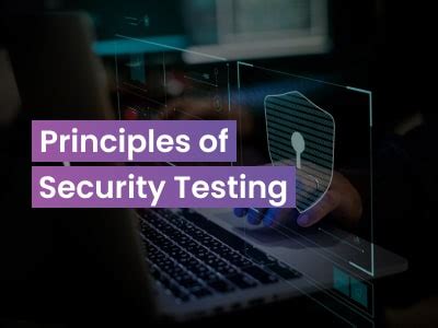 Image result for Security Testing Basics