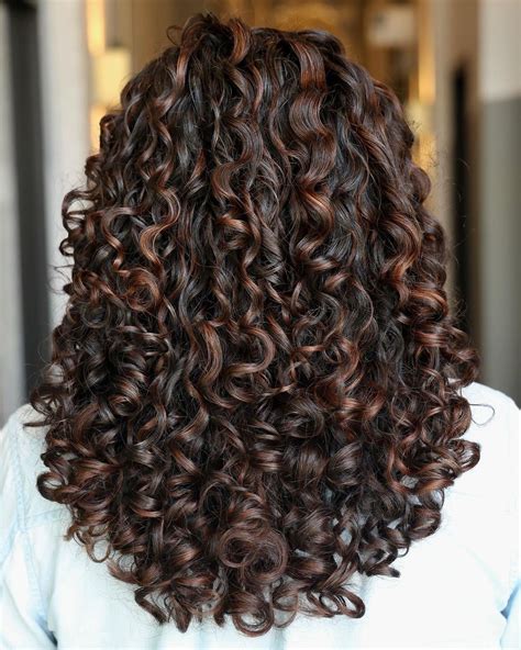 15 Best Curly Hairstyles to Inspire You | Dyed curly hair, Highlights ...