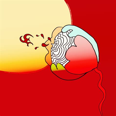 Image result for Red Python Songs