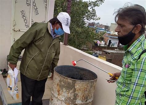 Mumbai: BMC issues advisory as dengue raises its head again