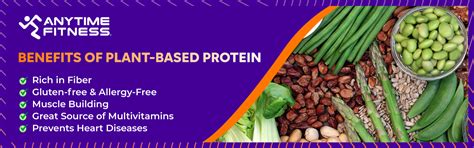 Complete Guide to Plant Based Proteins - Xalt Online