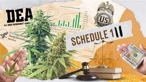 HHS Suggests Rescheduling Cannabis: What It MeansCannabis Central