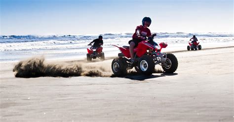 4 Track Adventures | Activities & Day Trips in Auckland, New Zealand