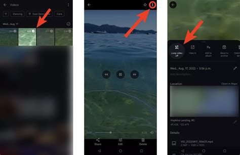 Image result for Loop Video Online Free