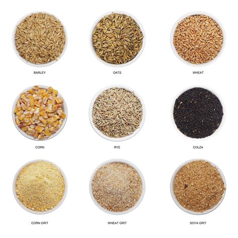 Identifying whole grains, types of whole grain foods – ICDK