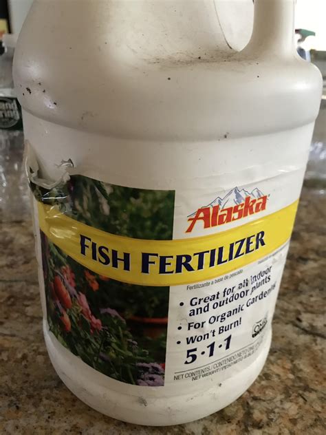 So I forgot about this old bottle of Alaska fish fertilizer, it’s only been opened a few times ...