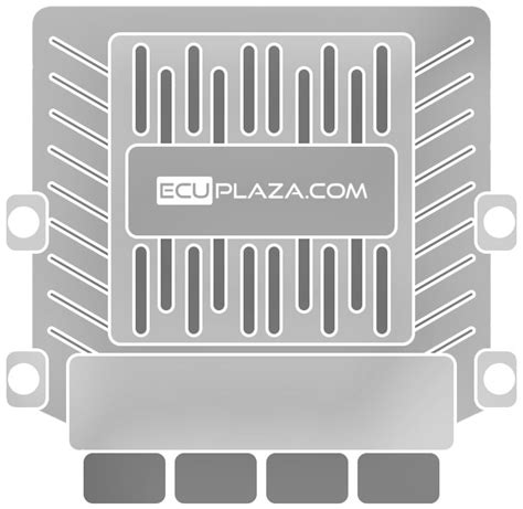 Image result for ECU License Plate