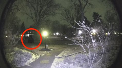 Image result for Alien Visitors Caught On Camera