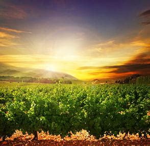 Ottawa Funeral Home Ottawa, Illinois