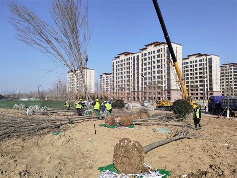 中国水利水电第一工程局有限公司 基层动态 东营项目全面开启复工复产模式