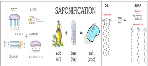 Saponification - Define, Reaction, Step Wise Mechanism, Effects, Examples