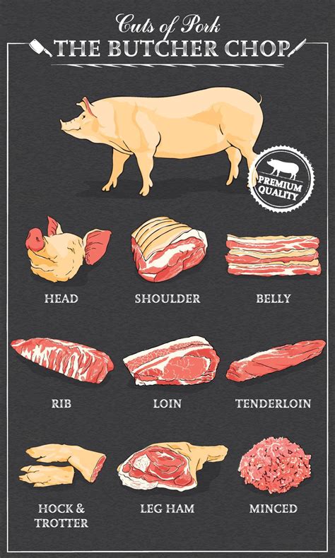 Cuts of pork diagram part of pork cut of meat set. Poster Butcher ...