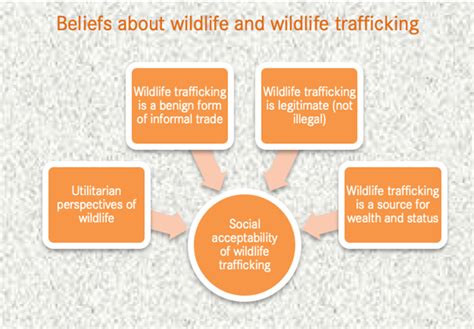 Wildlife trafficking in Uganda: poverty, governance and perceptions ...