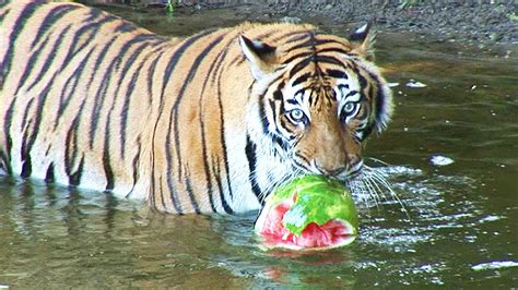 Image result for Electronics Reliability Testing