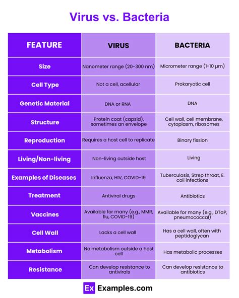 Virus vs Bacteria - Differences Explained with Meanings, Types, Structures & More