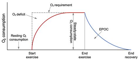 Energy Expenditure Prediction from Accelerometry Data Using Long Short ...