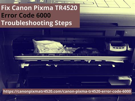 Canon Paper Problem 的图像结果