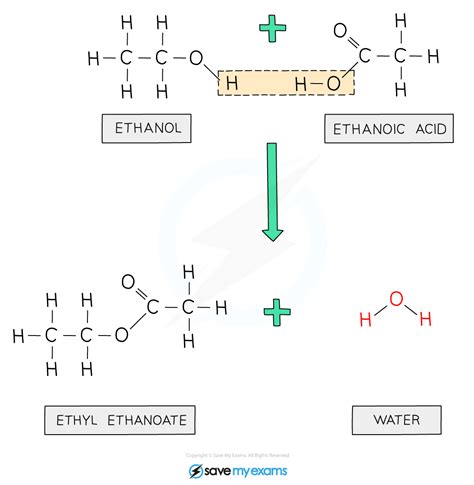 Forming and naming esters - IGCSE Chemistry Revision Notes