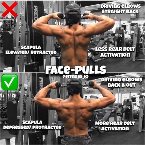 Back Workout Cable Face Pull at Betty Kennedy blog