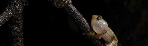 How India Supports Renewable Energy to Slow Climate Change | TNC