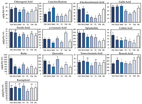 Targeted Metabolic and In-Silico Analyses Highlight Distinct ...