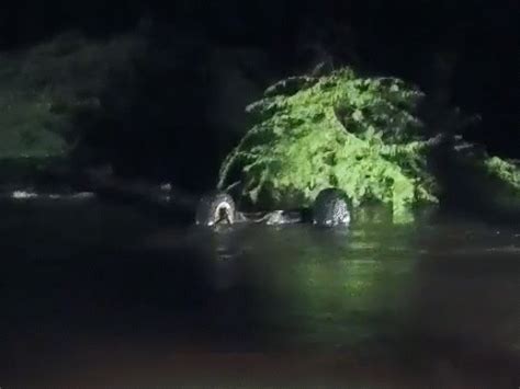 Rajasthan braces for heavy rain with Alwar receiving early downpour ...