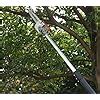 Neptune Simplify Farming 26CC Petrol Engine Telescopic Tree Pole Pruner ...