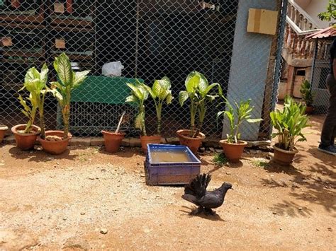 Planet Earth Aquarium (Mysuru (Mysore)) - 2021 What to Know Before You ...