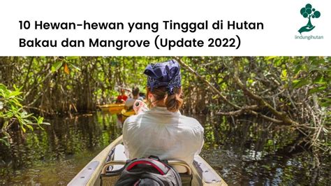 Image result for Python Process to Make