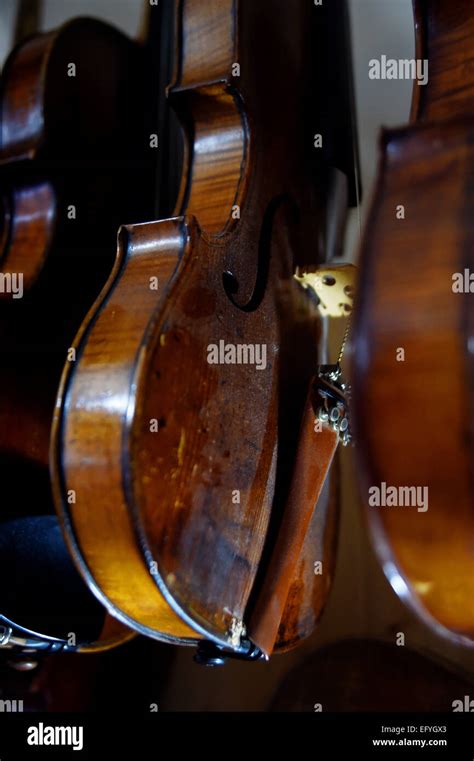 Image result for String Instruments