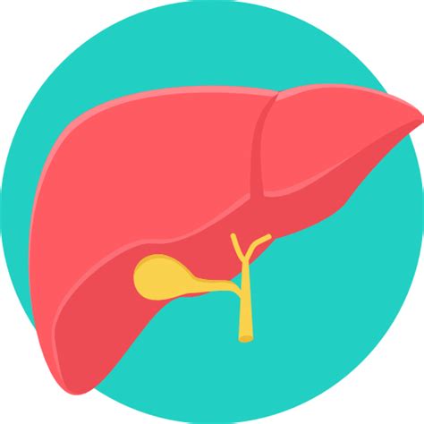 Annual Health Checkup - Mediwheel Full Body Annual Plus Package