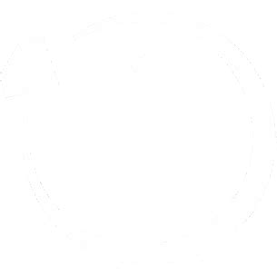 Diz Jewellers | Coming Soon