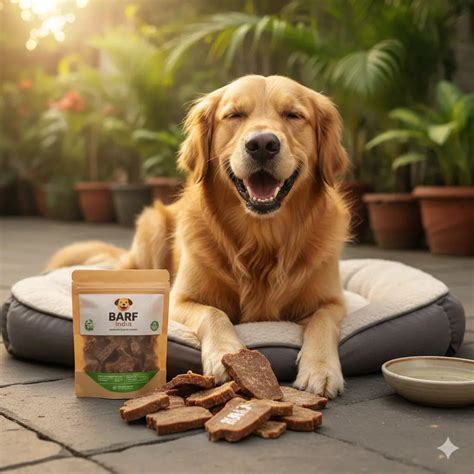 Dog Breeds in India: Top 30+ Popular Breeds for Indian Homes