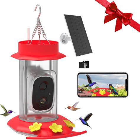 Amazon.com: Hummingbird Feeder with Camera - Solar-Powered, Vicohome 2K ...
