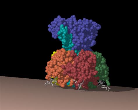 Image result for Free Sample Images Tiff Format