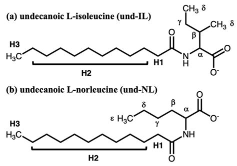 Isoleucine Lewis Structure