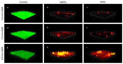 An In Vitro Artificial Wound Slough–Biofilm Model Developed for ...