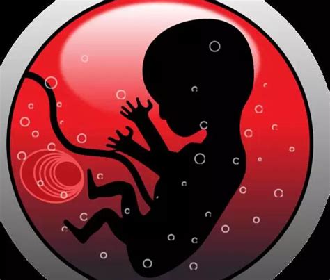 胚胎停止发育还可以治疗吗-有来医生