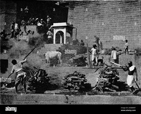 American foods in india Black and White Stock Photos & Images - Alamy