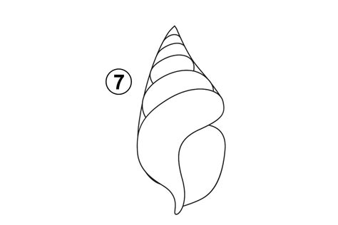Image result for How to Draw Cute Shell