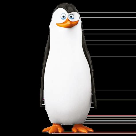 Kowalski | Madagascar Wiki | Fandom
