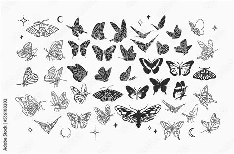 Image result for Magic Flying Butterfly Pattern