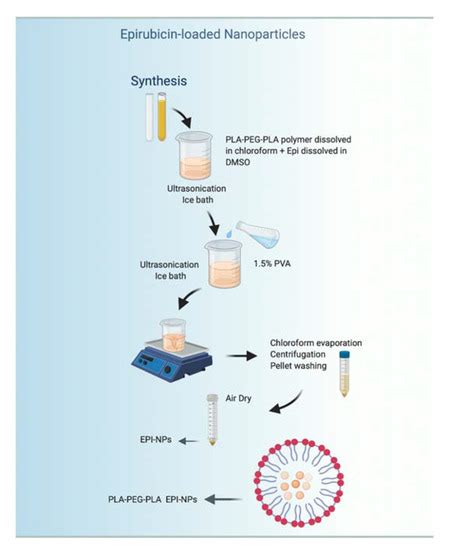 Development of Epirubicin-Loaded Biocompatible Polymer PLA–PEG–PLA ...