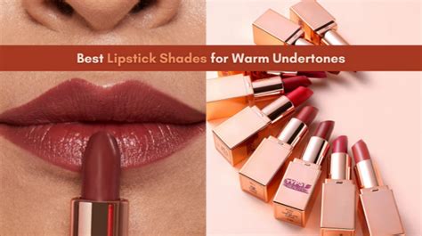 Best Lipstick Shades for Warm Undertones – Typsy Beauty