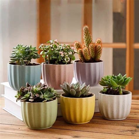 wolpin Small Ceramic Planters for Balcony Home Indoor & Outdoor ...