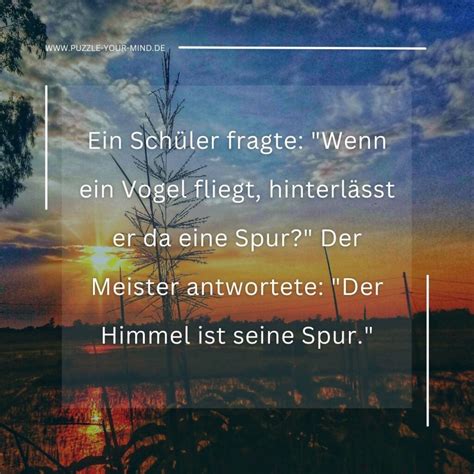 Koan: Definition, Arten, Beispiele & 10 Fragen